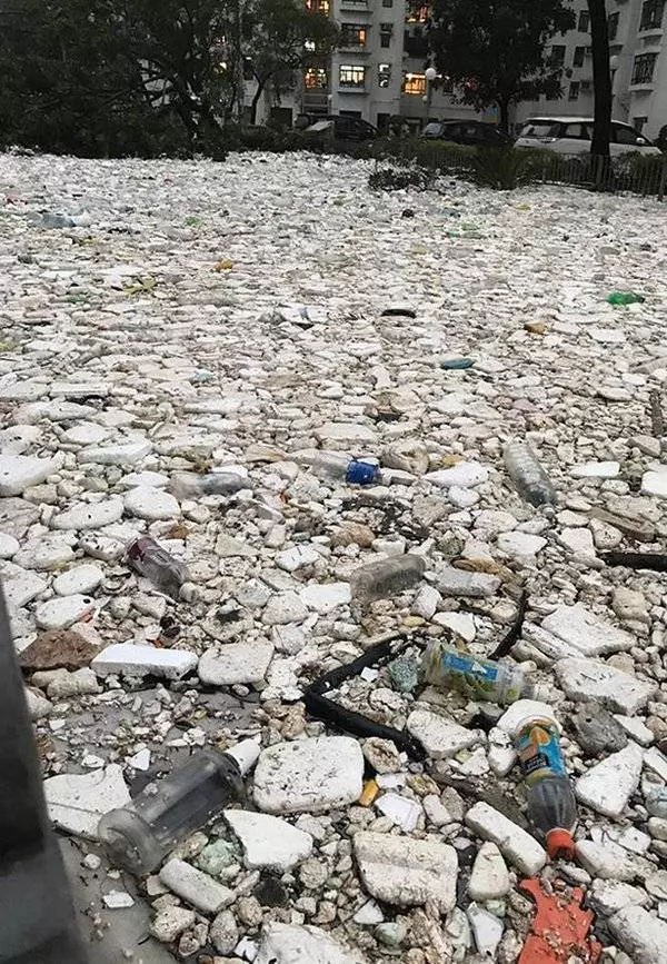 「山竹」影響 泰17到19日有暴雨 -