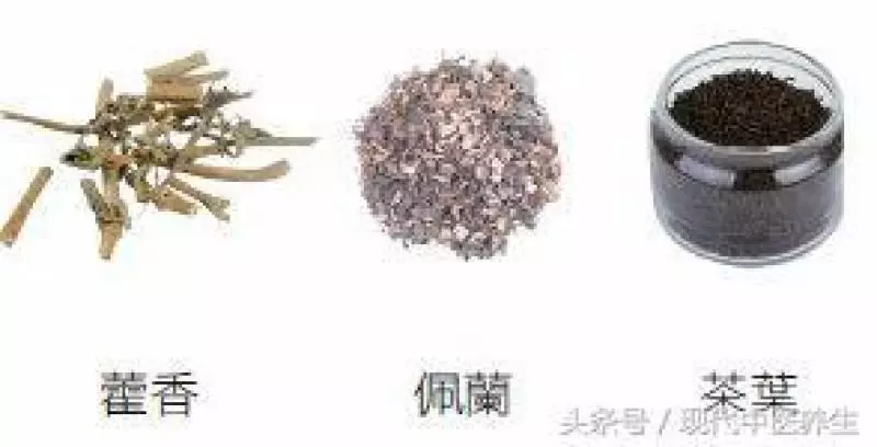 在家自製2杯涼茶,去濕氣比食療強10倍