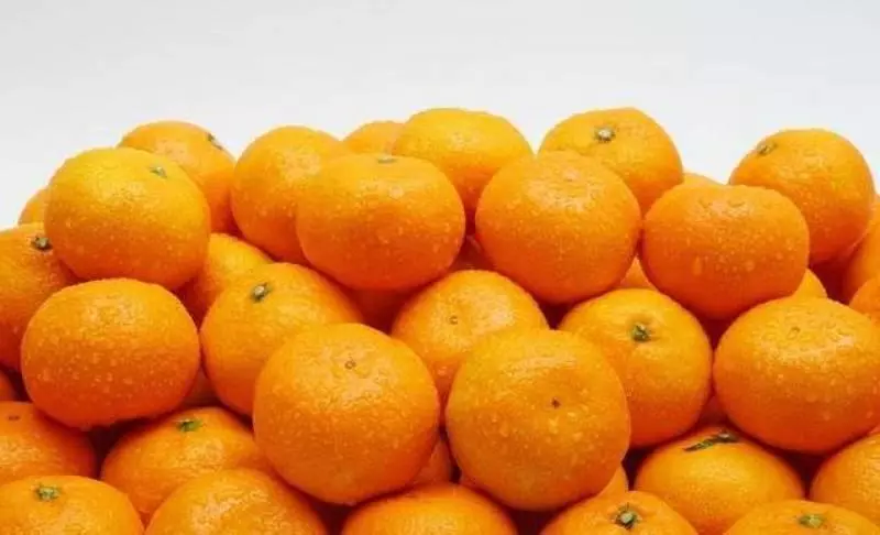 經常眼睛模糊看不清?就多吃這三種食物,可以保護眼睛 提防近視與老花