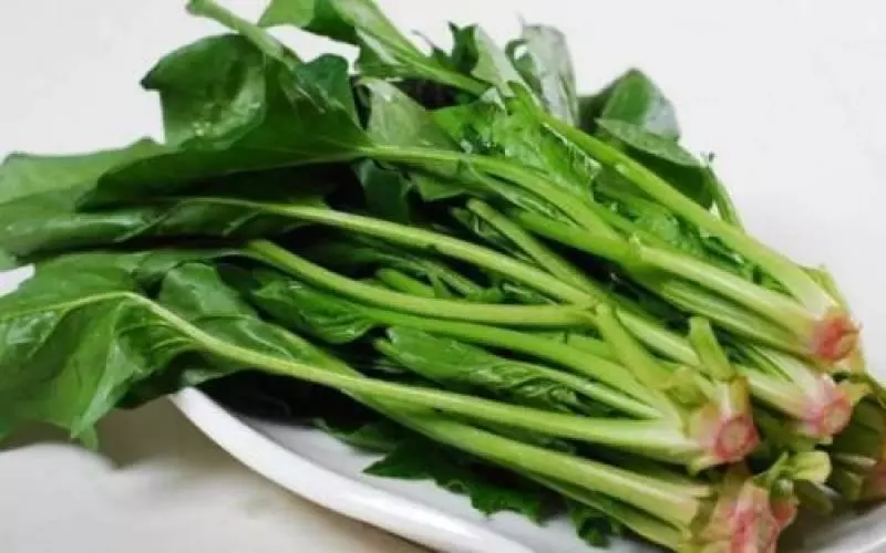 有貧血癥狀的人,別再吃紅棗了,這3種食物才是真正的補血專家