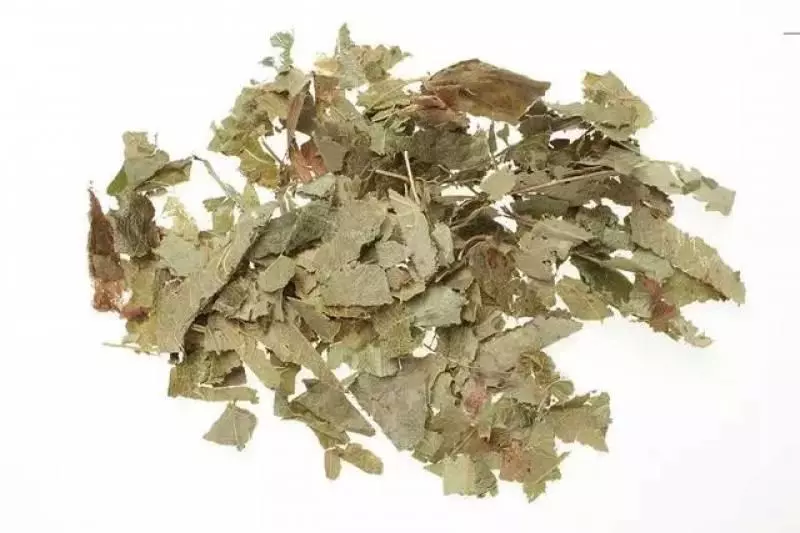這種草到處都有,卻是補腎良藥99%的人都不知道