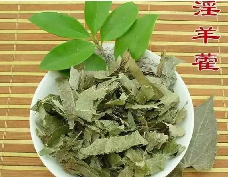 這種草到處都有,卻是補腎良藥99%的人都不知道
