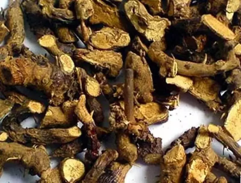 這種草到處都有,卻是補腎良藥99%的人都不知道
