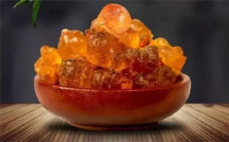 這東西比燕窩還補還是胃病、糖尿病的剋星