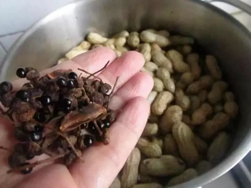 花生這樣吃比炒花生營養太多,抗衰老潤皮膚,秋天別錯過!