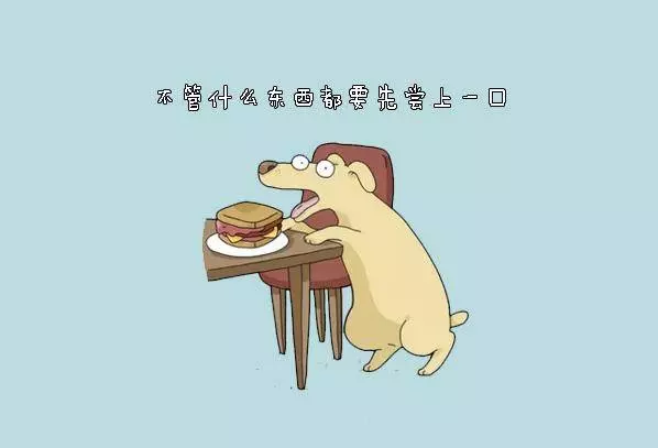養狗狗的你,敢說沒有體驗過這10件事嗎?