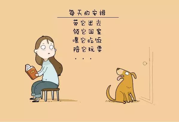 養狗狗的你,敢說沒有體驗過這10件事嗎?