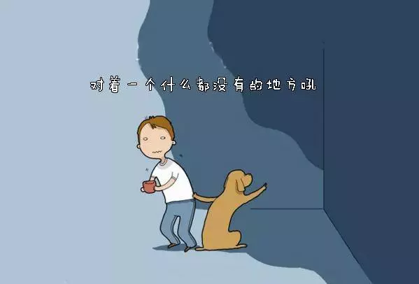 養狗狗的你,敢說沒有體驗過這10件事嗎?