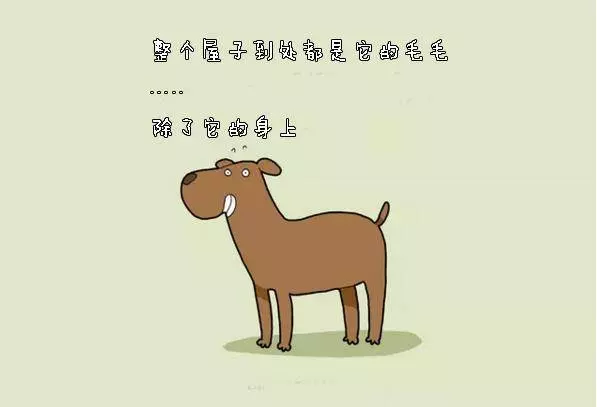 養狗狗的你,敢說沒有體驗過這10件事嗎?