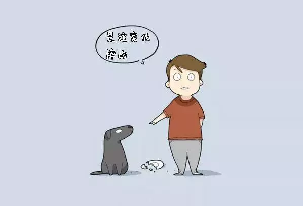 養狗狗的你,敢說沒有體驗過這10件事嗎?