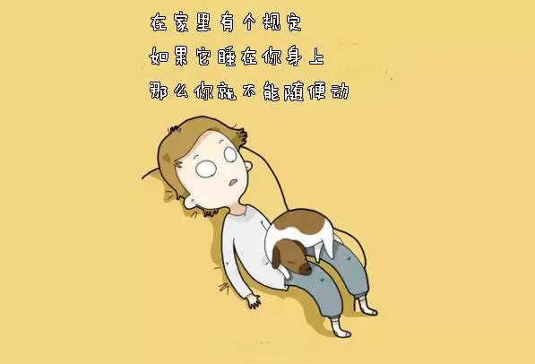 養狗狗的你,敢說沒有體驗過這10件事嗎?