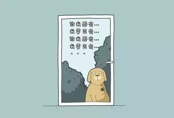 養狗狗的你,敢說沒有體驗過這10件事嗎?