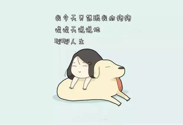 養狗狗的你,敢說沒有體驗過這10件事嗎?