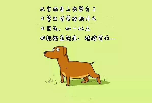 養狗狗的你,敢說沒有體驗過這10件事嗎?