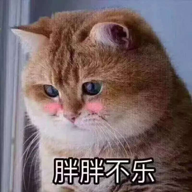 你家有養了很多年的貓嗎?貓步入老年的2大信號,鏟屎官需注意