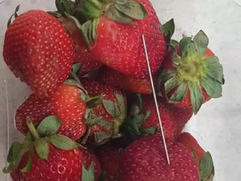 澳洲草莓藏針 流傳4州 牽涉6品牌