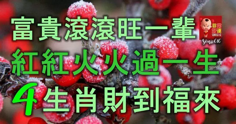 富貴滾滾旺一輩,紅紅火火過一生,4大生肖財到福來