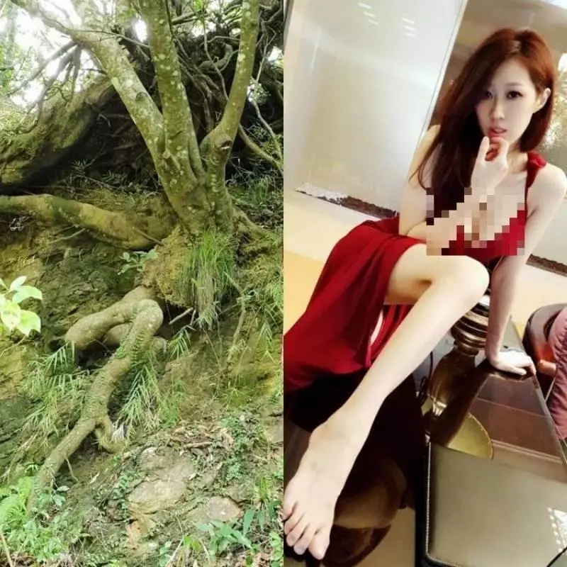 求神超正理專去銀行辦事「拍到美麗風景」終於神到傳送門:私照一張比一張正