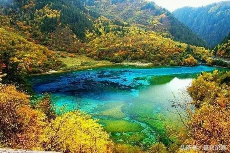 學會放下,精彩人生...
