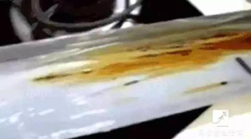 只要一個飲料瓶,油煙機用上一年都不用洗