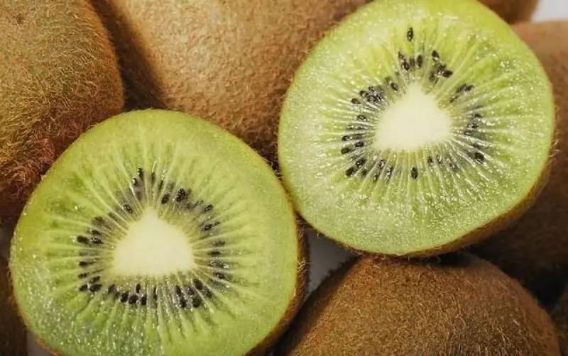 經常眼睛模糊看不清?就多吃這三種食物,保護眼睛、提高視力預防近視遠離老花眼