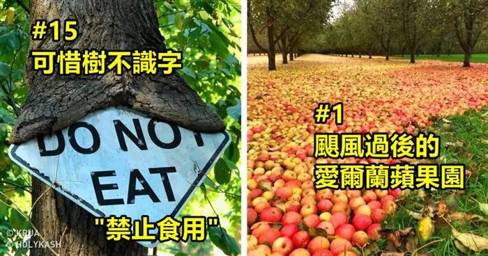18個超精彩的「大自然完美傑作」~~~