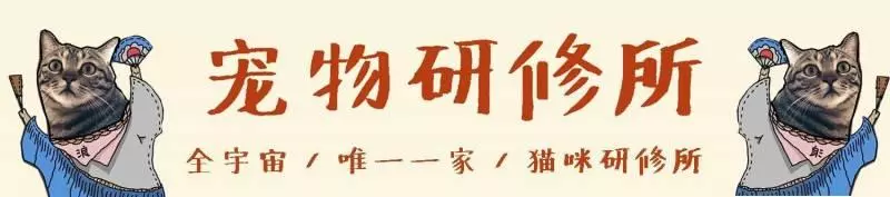 懷孕到底能養貓麼?我們希望通過科學的方法讓你了解事實真相