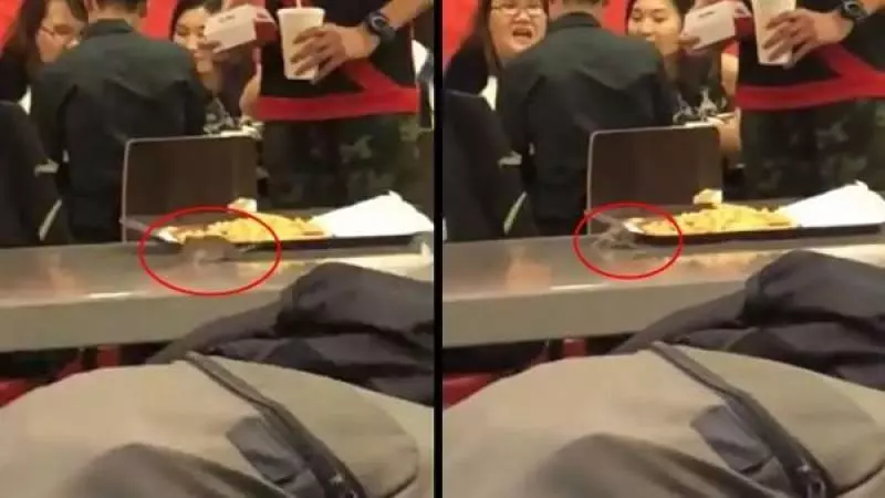 老鼠從天而降 食客心慌慌