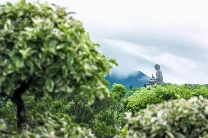 一個人,做到這4點,就是有福之人