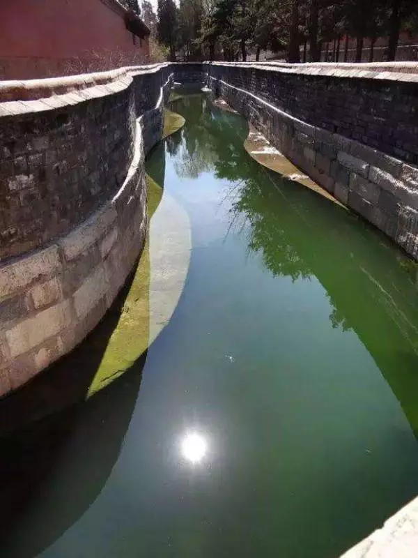 世界上最長最大的蛇, 就藏在故宮裡, 現在已經600歲了