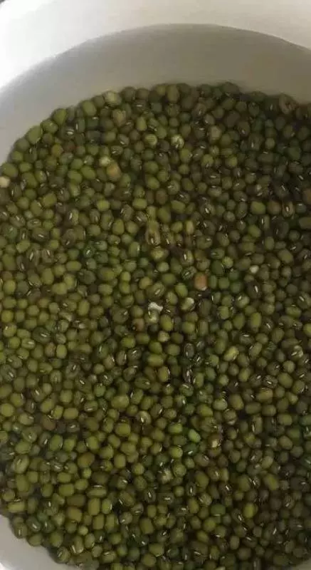 黑芝麻綠豆蔓越莓做出的月餅,低油少糖的餡料~