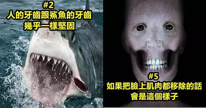 17個你絕對不知道的"身體有趣事實"~~~