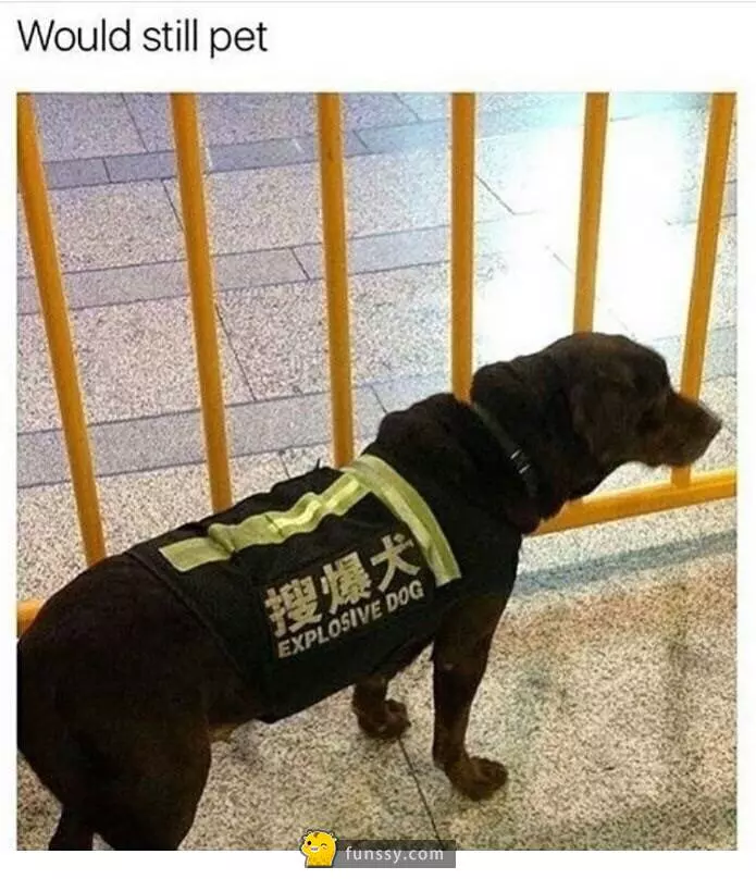 19張會讓你笑到無法自拔的超爆笑梗圖 #290後的男生必定在3秒以內戀愛