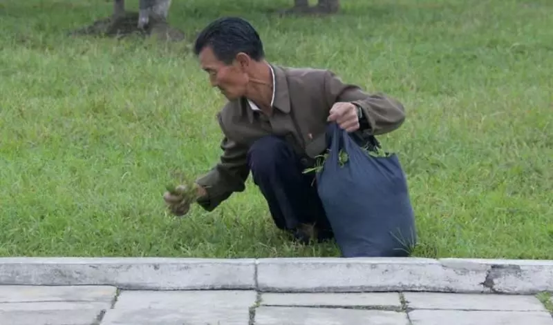 12張在北韓會被視為是違法的寫實照片