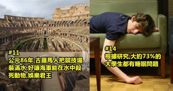 30個新聞里沒有報道的超有趣真相 #4 變色龍的唾液黏稠度是人類的400倍