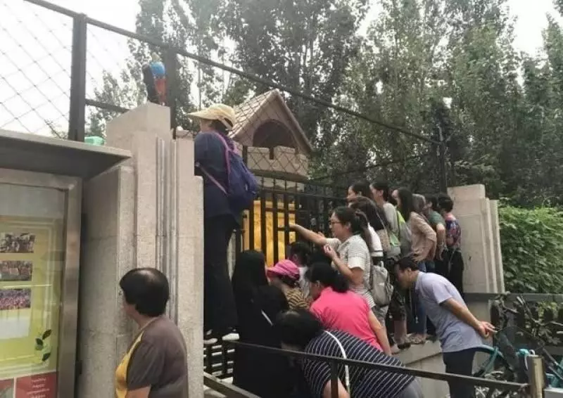 孩子去幼稚園哭鬧、抗拒?20年老教師教你這樣做,輕鬆度過孩子的分離焦慮期
