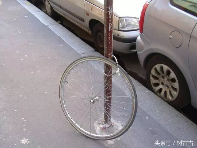 12張「高能搞笑」的圖片,保證每張都「笑點十足」