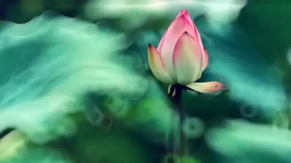 菩薩告訴你,誰是你命中註定的貴人