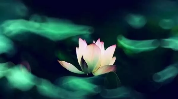 菩薩告訴你,誰是你命中註定的貴人