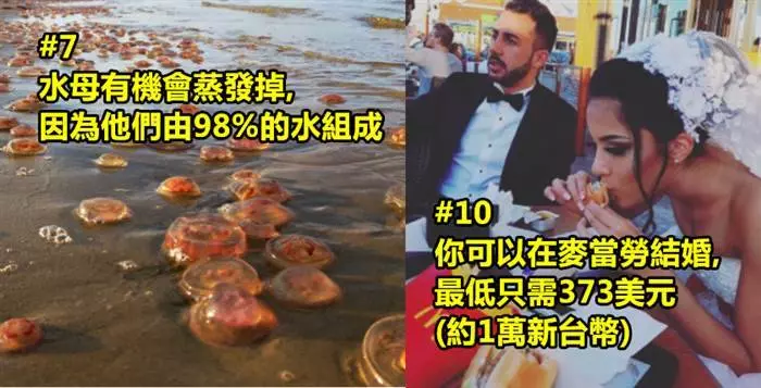21個會讓你重新改變你對這世界的看法 #4 鯊魚在4億年前就已經出現了