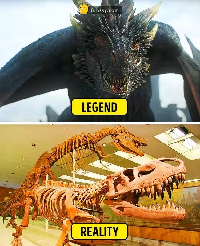 11個證明現代人想像力太豐富的傳說 VS 現實背後的真相#6 獨眼巨人的傳說