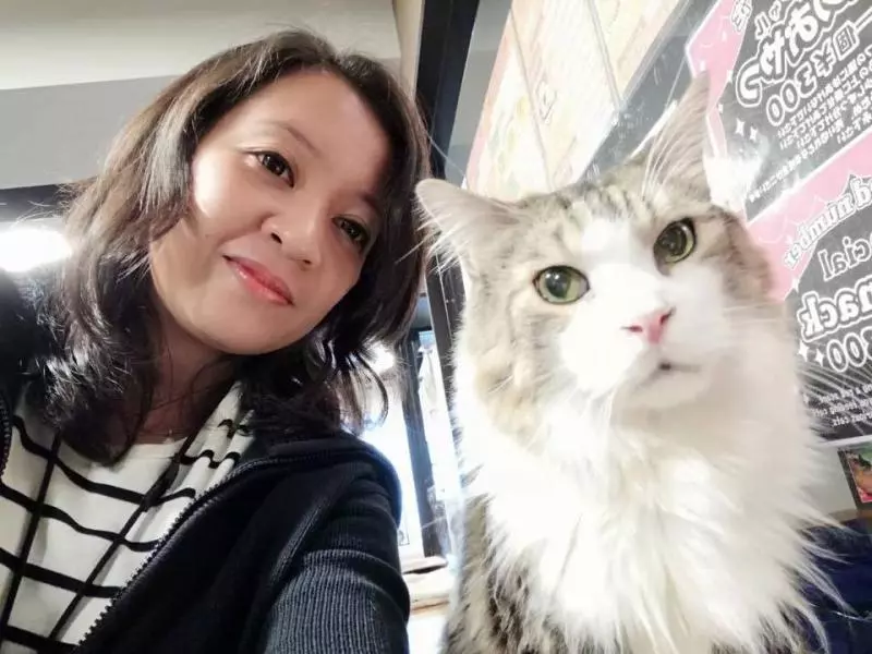 穆斯林救援組織痛心狗只遭捕殺 伊教倡善待動物 -