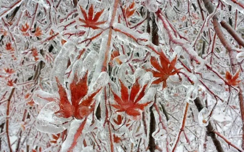 15張「原來我們的世界美得驚人」的珍貴照片