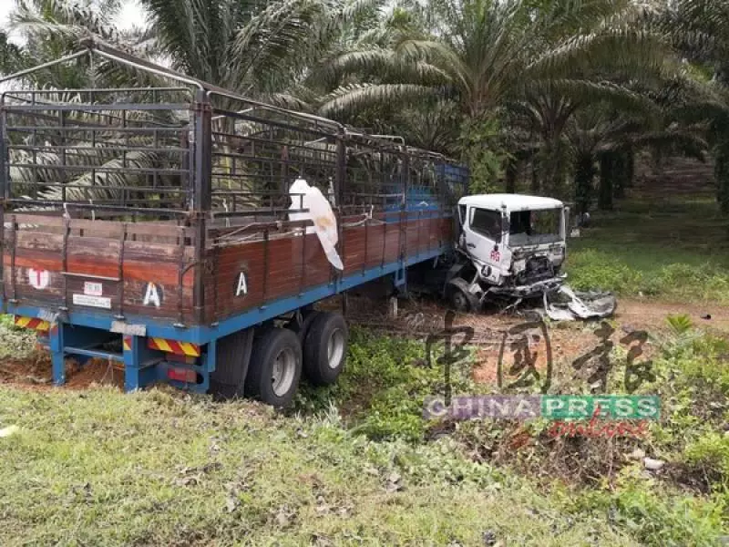 轎車與拖格迎面撞 一家五口 奪走4命