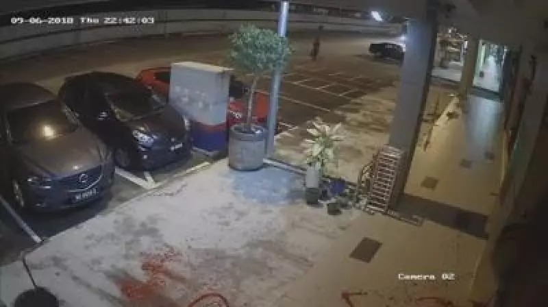 朝店面潑漆 朝車潑硫酸 男子尋仇全程被拍下