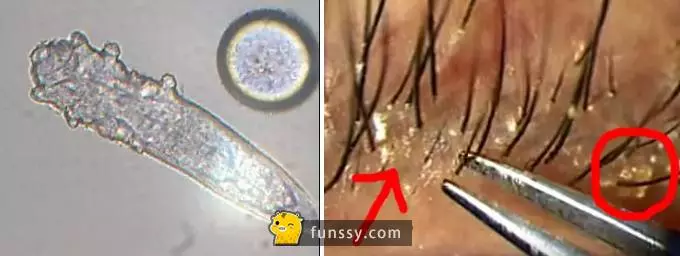 25個會讓你感到超恐怖的歷史真人真事 #4 人類探索過的海洋少於5%