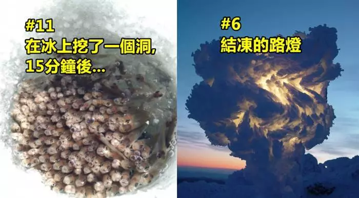 20張只有在冬天才能看到的照片 #7,這個健忘的主人,看到後一定想哭