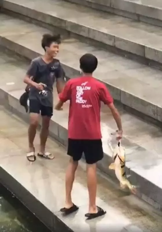 獅城少年新娛樂 魚尾獅下釣大魚