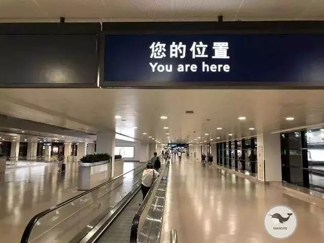 神一般的設計設計師的人生經歷了什麼?