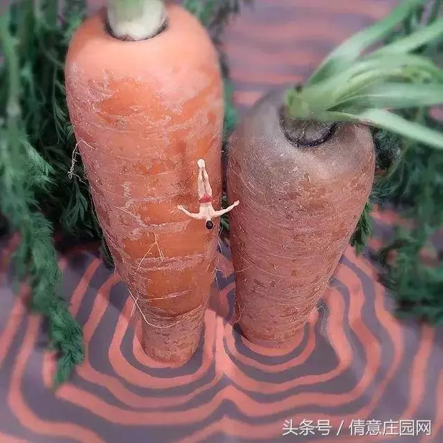 我見過最天馬行空的創意,不敵他拍下的雞毛蒜皮